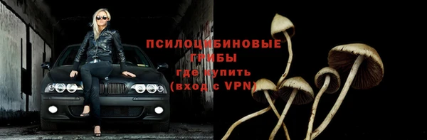 jwh Осинники