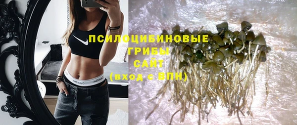 дмт Балахна