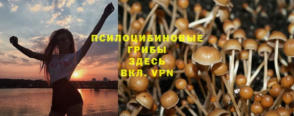 дмт Балахна